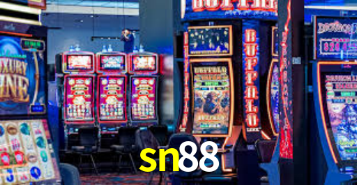 sn88.com